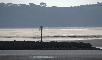 Marker