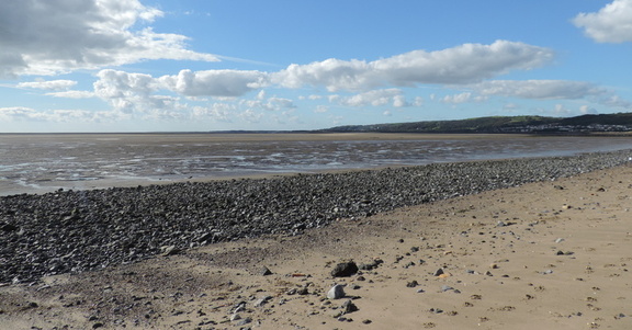 Shingle