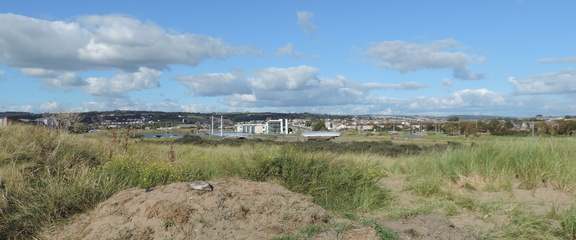 Inland
