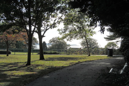 Through the trees