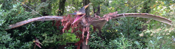 Pterodactyl