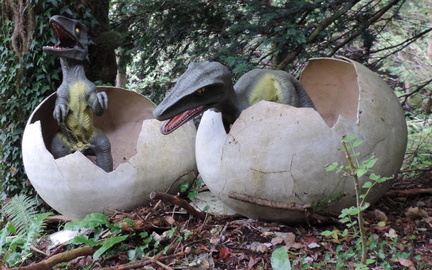 Hatching