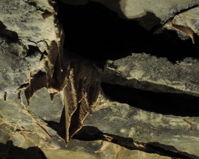 Stalactites