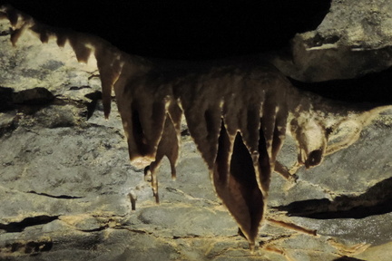 Stalactites