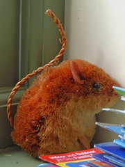 Mouse