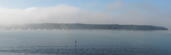 Brownsea Island