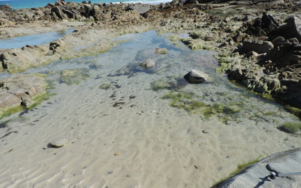 Rock pool
