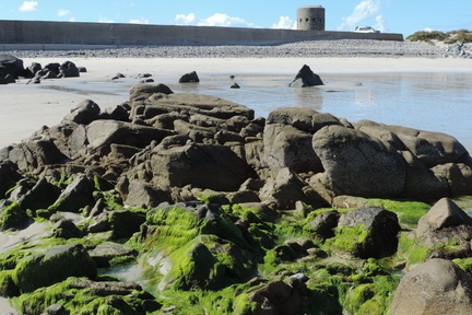 Rocks