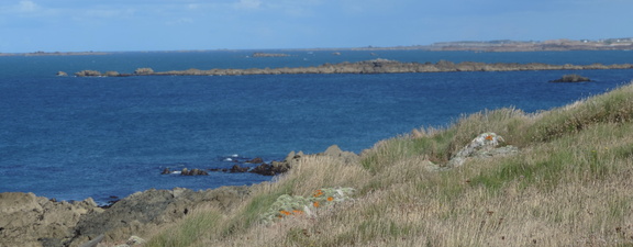 Rocks