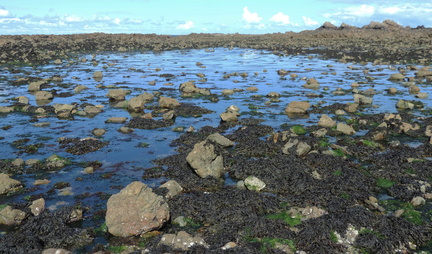 Rock pools
