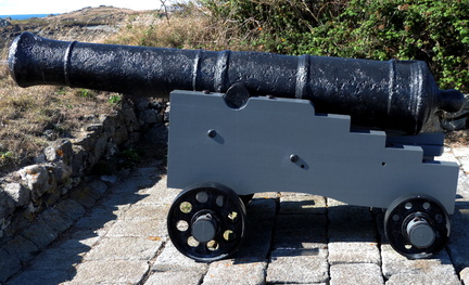 Cannon