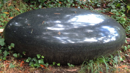 Rock
