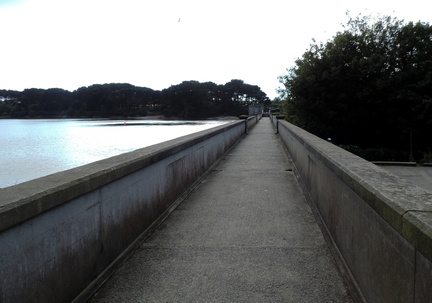 Dam