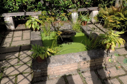 Water feature