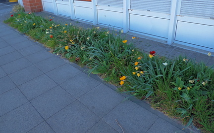 Flower bed