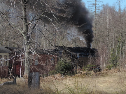 Engine through the trees