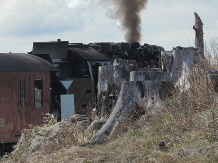 Passing the tree stumps