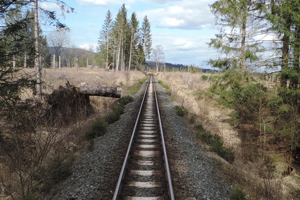 Along the track