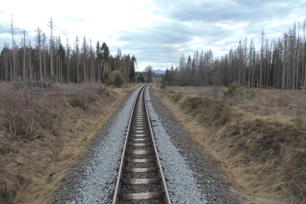 Along the track