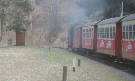 Along the train