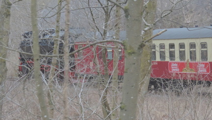 Engine through the trees