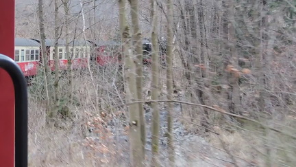 Engine through the trees