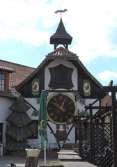 Cuckoo clock