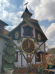 Cuckoo clock