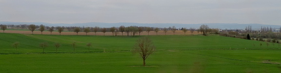 Landscape
