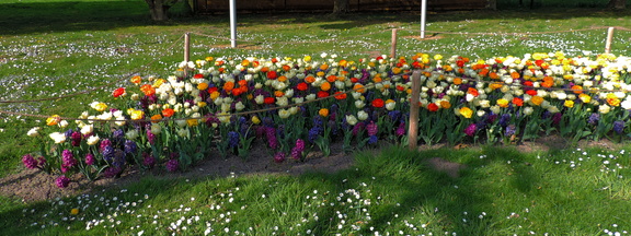 Flower bed