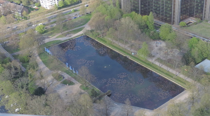 Pond