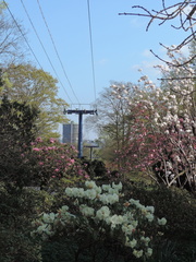 Cable car