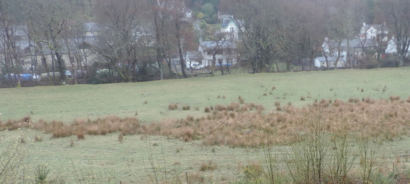 Village