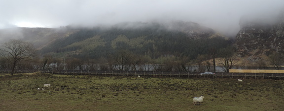 Mist over lake