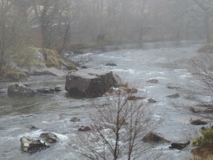 Rapids