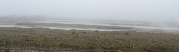 Marshland
