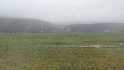 View from the train