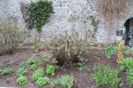 Wall and flower bed