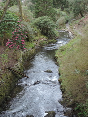 Stream