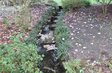 Stream