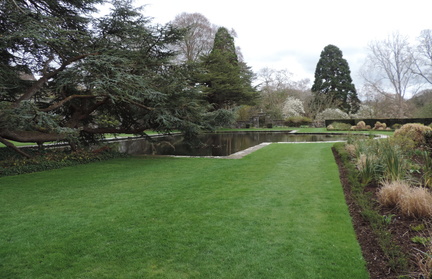 Lawn and pond