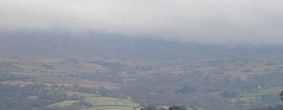 Mist