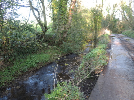 Stream
