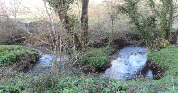Meander