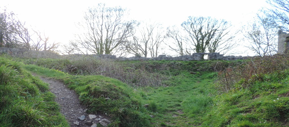 Inside the castle