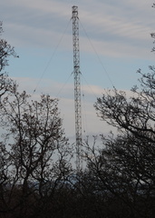 Mast