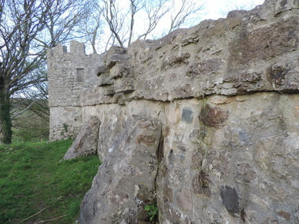 Wall