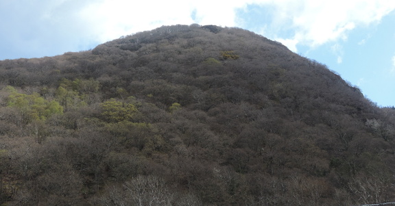 Peak