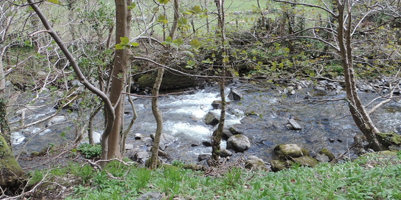 Stream