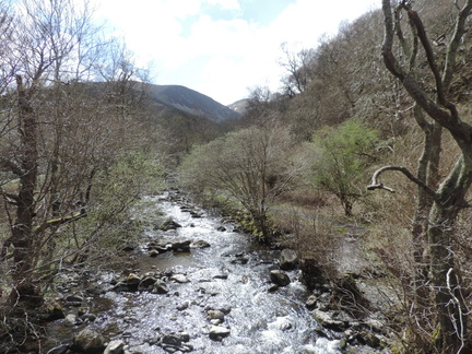 Rapids